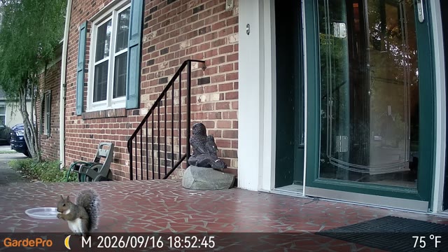 Trail camera clip from Sep 16, 2026