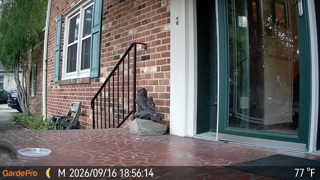 Trail camera clip from Sep 16, 2026