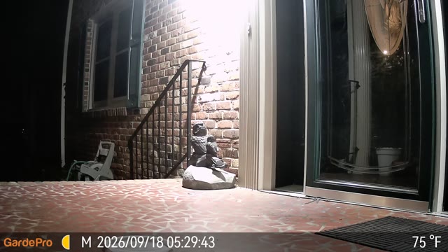 Trail camera clip from Sep 18, 2026