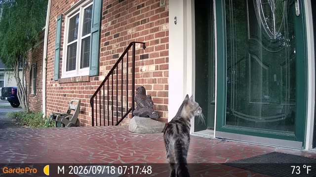 Trail camera clip from Sep 18, 2026