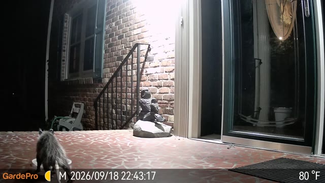 Trail camera clip from Sep 18, 2026