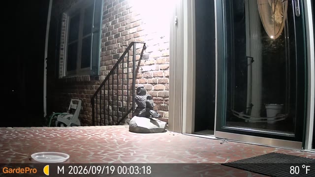 Trail camera clip from Sep 19, 2026