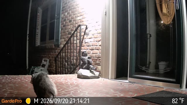 Trail camera clip from Sep 20, 2026