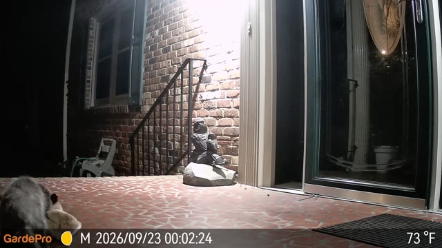 Trail camera clip from Sep 23, 2026