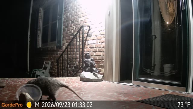 Trail camera clip from Sep 23, 2026