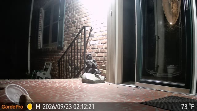 Trail camera clip from Sep 23, 2026